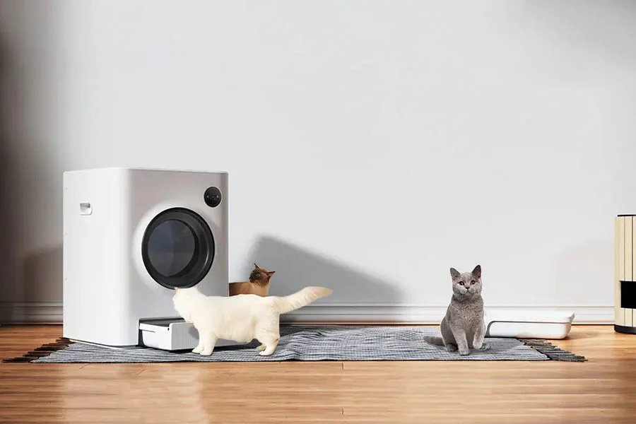 litter box for multiple cats